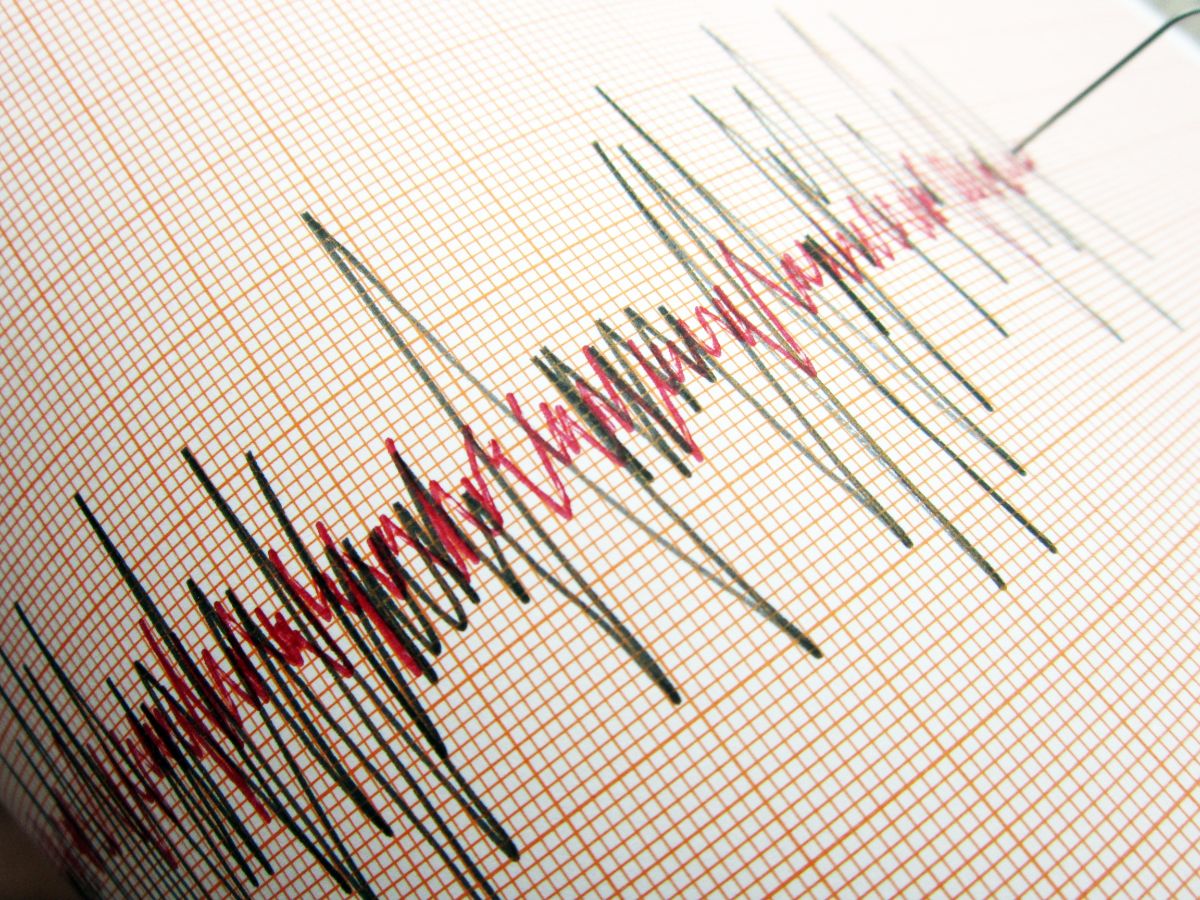 Analisis BMKG Soal Gempa M 5,9 Di Banten, Terasa Hingga Jakarta