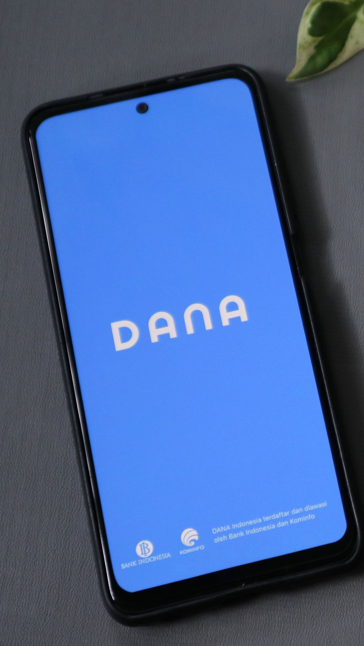 Punya 170 Juta Pengguna, Transaksi QRIS DANA di 2023 Meroket 272%
