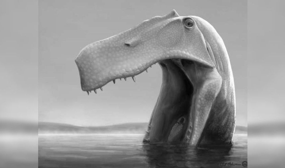4.Fosil dinosaurus Brasil yang kontroversial