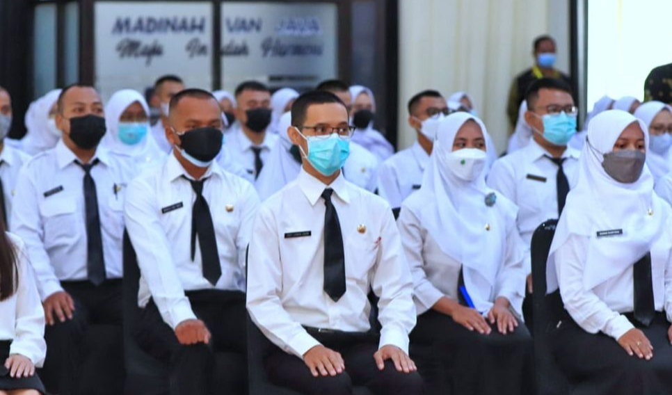 Lowongan CPNS Banyak untuk Fresh Graduate