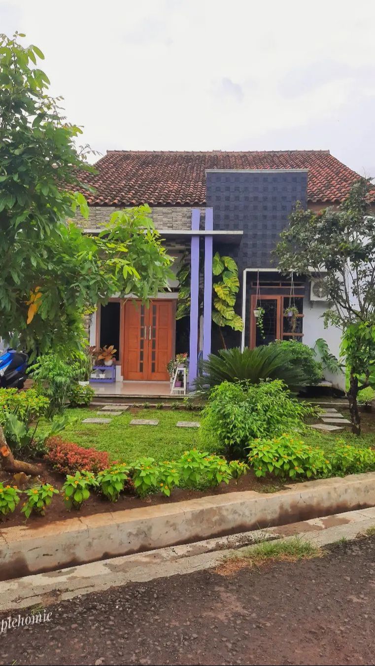 Potret Adem Rumah Ungu Tepi Sawah, Jauh dari Tetangga