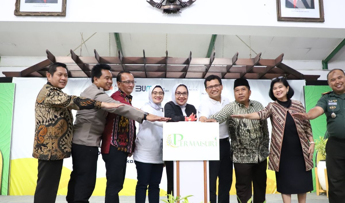 Refocusing, Reorganisasi BUMN