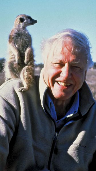 They also use super-sensitive hydrophones inserted into the water to record the tiniest communications between fish.