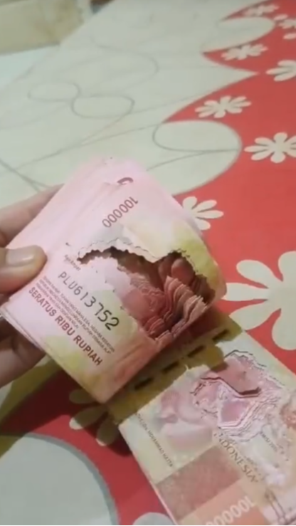 Momen Pria Temukan Uang Tabungannya Raib Dimakan Rayap, Nyesek Banget!