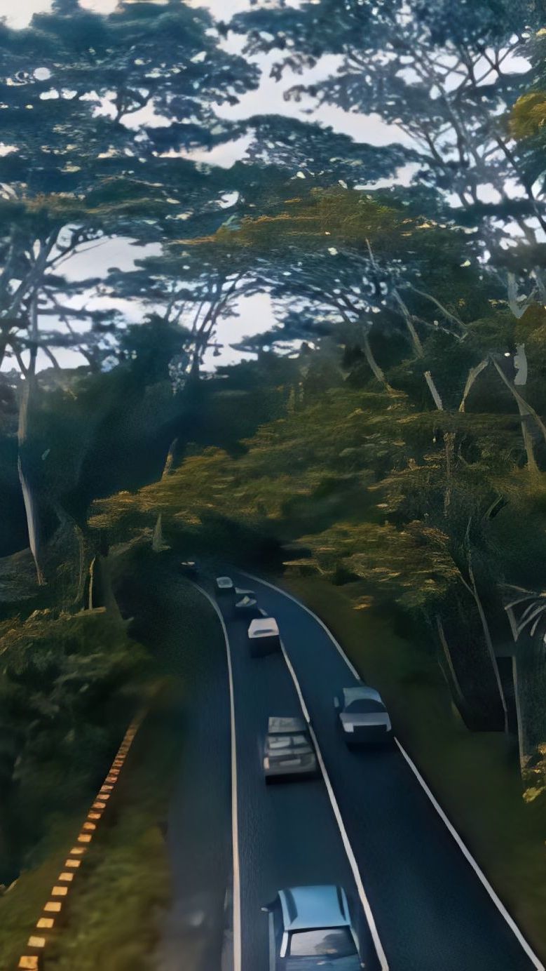 Kisah Seram Bukit Soeharto yang Angker, Tempat Pembuangan Mayat Korban Petrus hingga Penampakan Hantu Romusha