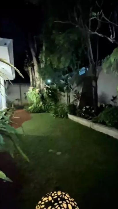 Taman di sana penuh pohon dan tinggi dan rerumputan hijau.