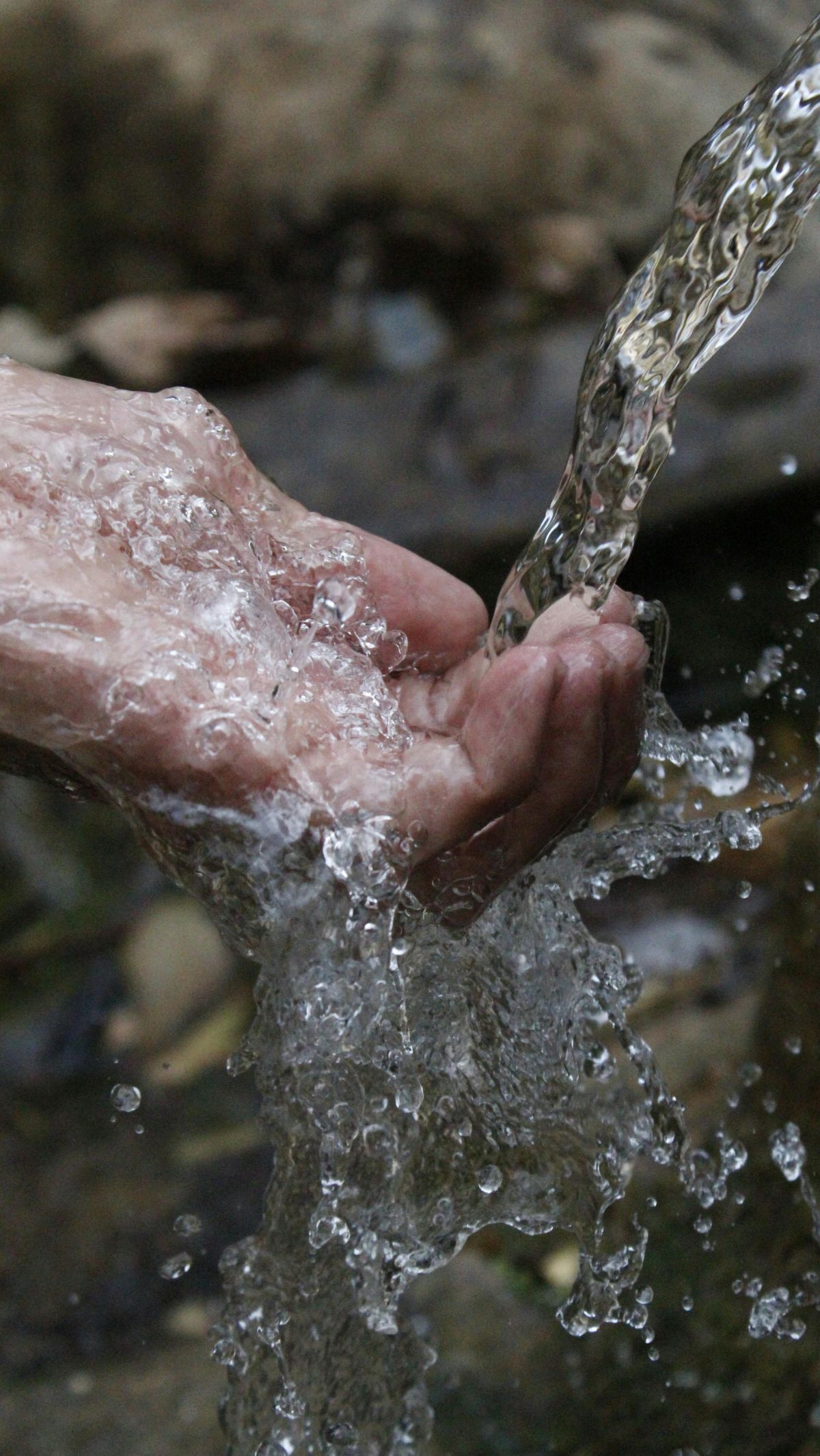 Air Zamzam Tak Pernah Habis, Ternyata Ini Makhluk yang Terus Menggali Sumbernya