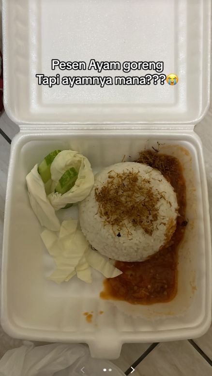 Momen Pesan Ayam Goreng yang Datang Cuma Nasi dan Sambal, Berujung Diantar Terpisah Bikin Ngakak