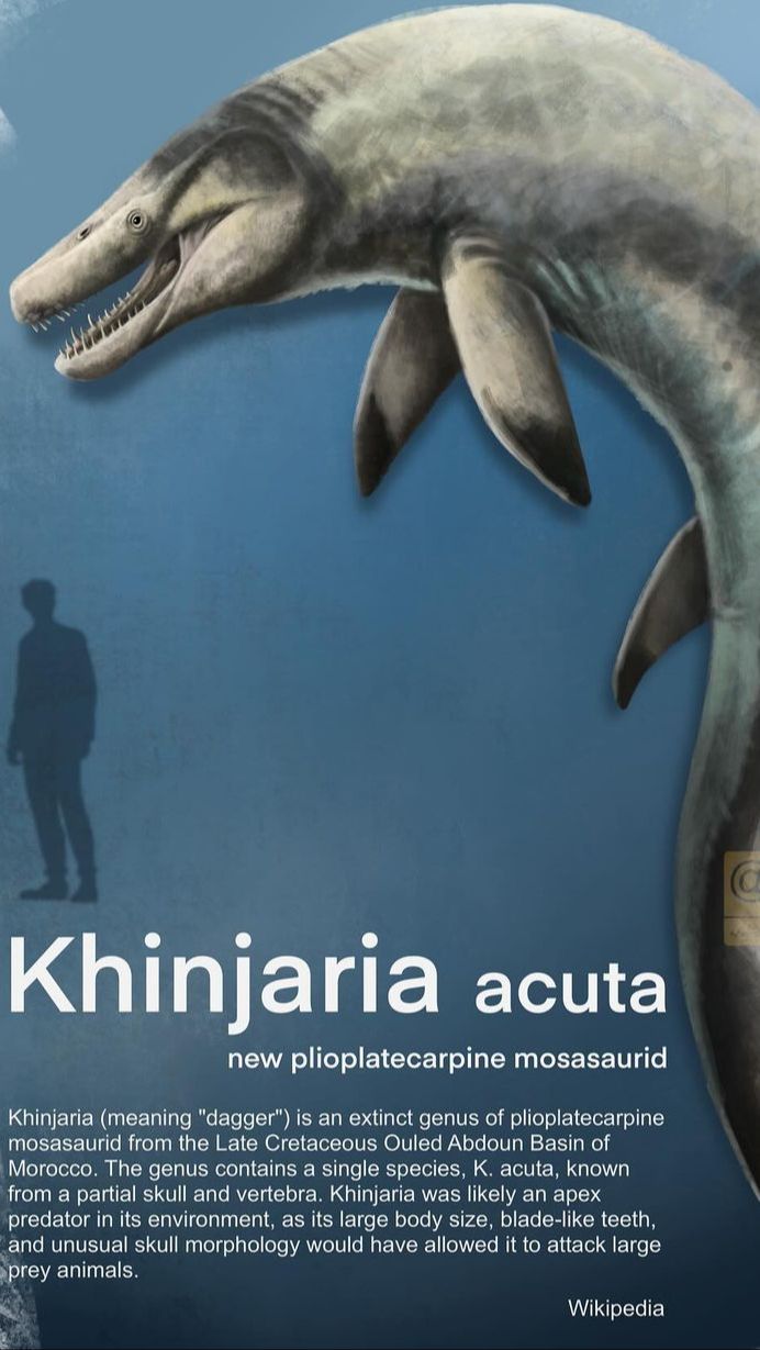 Pendapat Para Ahli Paleontologi Tentang Mosasaurus