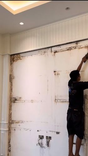 Usai dibongkar, ia pun merasa terkejut lantaran di balik wall panel kamarnya terdapat black mold atau ketapang