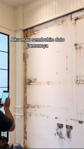 Sebab ketapang bisa menghasilkan spora yang kalau dihirup oleh manusia akan berdampak buruk pada fungsi tubuhnya