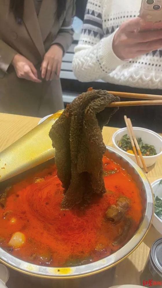 Alamak! Pria Ini Mengira Temukan Babat Sapi dalam Supnya, Saat Mau Diiris Keras Ternyata Kain Lap