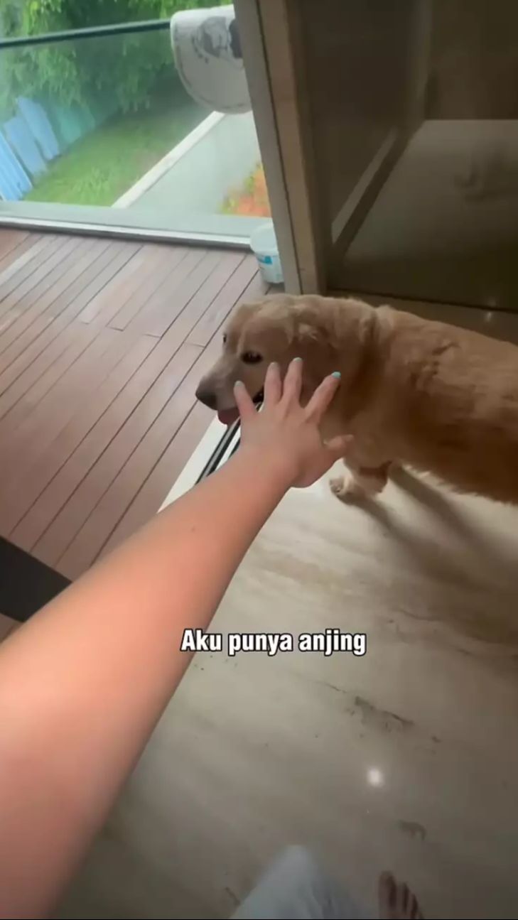 Begitu buka pintu kamar, Valencia langsung disuguhkan pemandangan kolam.