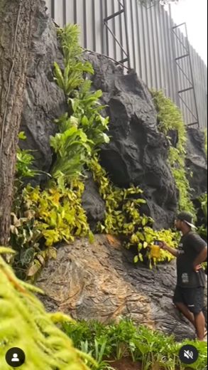 Raffi Ahmad membangun 'Rain Forest Garden di samping kolam renang rumahnya,