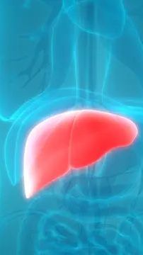 Ini Tanda-tanda dan Gejala Penyakit Liver, Simak dan Waspada