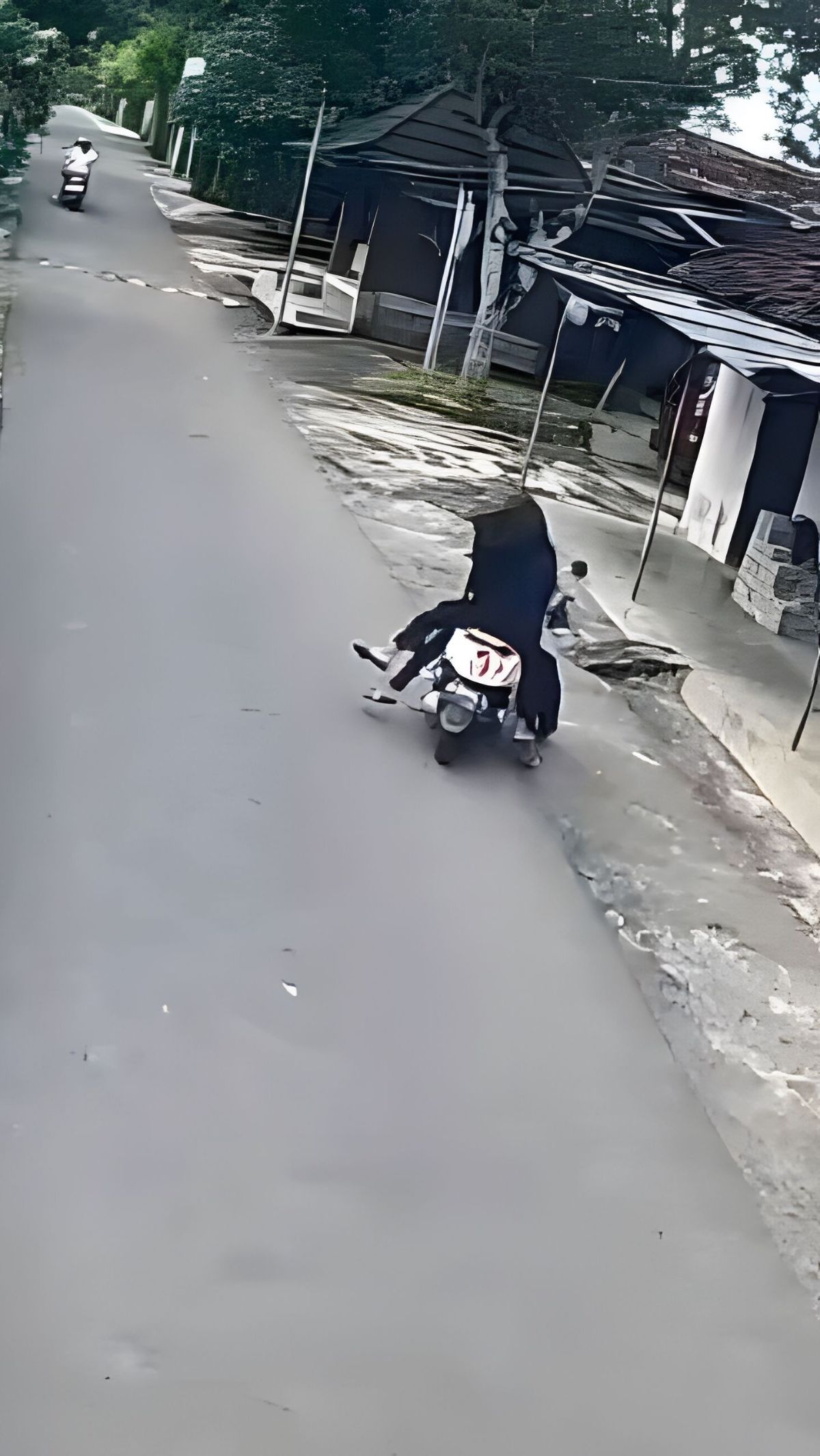 Naik Motor Berboncengan, Bocah Ingusan Gagal Kuasai Jalan sampai Tabrak Pohon, Malah Ditinggal Lari yang Dibonceng