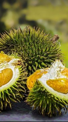 Warga China Ternyata Doyan Durian Indonesia, Setahun Bisa Pesan Sampai Rp126 Triliun