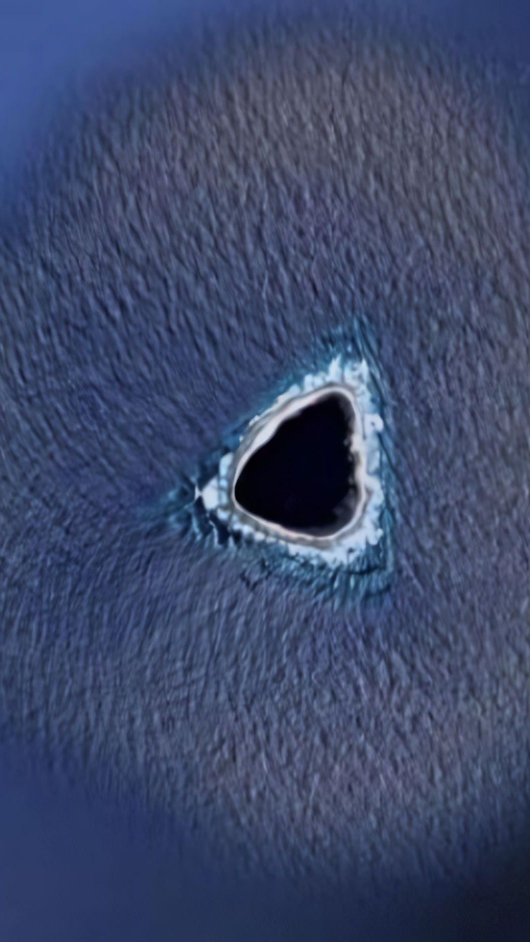Titik Hitam di Google Maps Dikira Lubang Hitam di Bumi, Fakta di Baliknya Ternyata Lebih Mengerikan