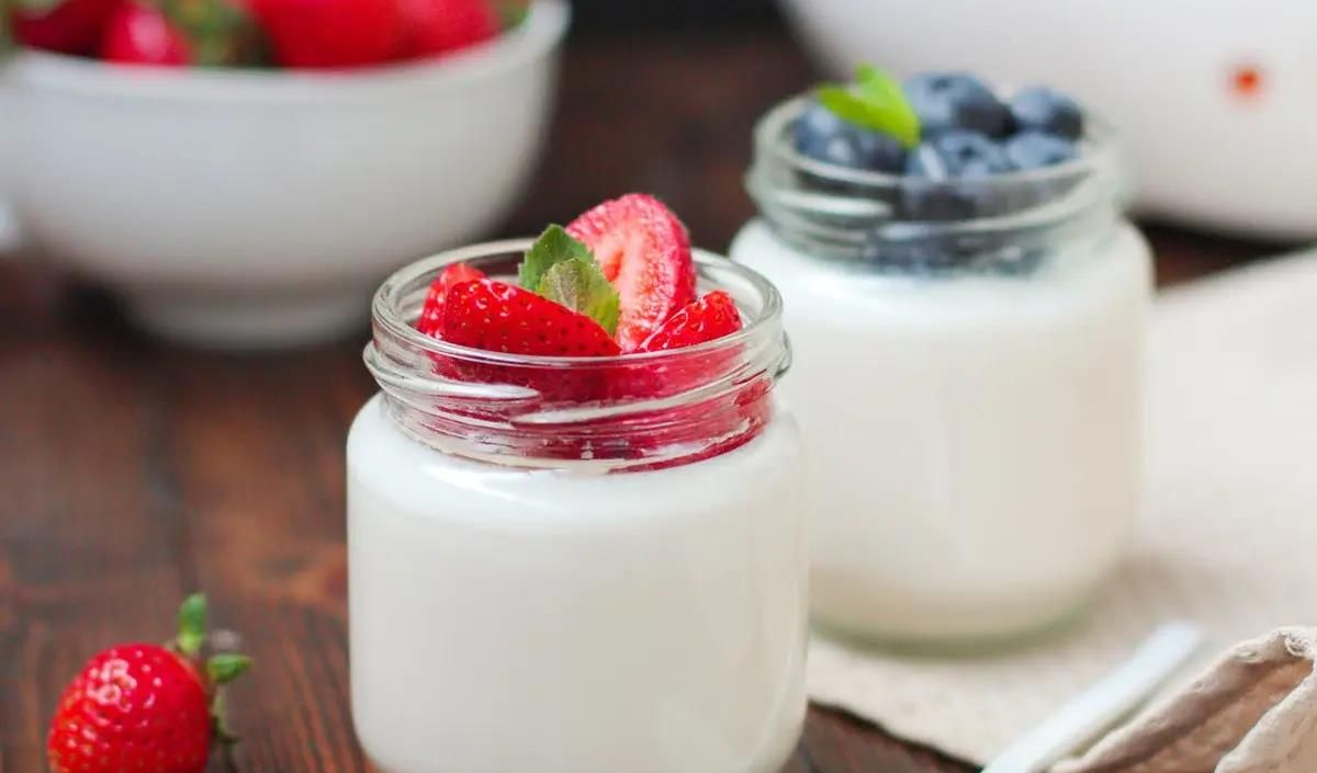 Yogurt dan Produk Susu Fermentasi Lainnya