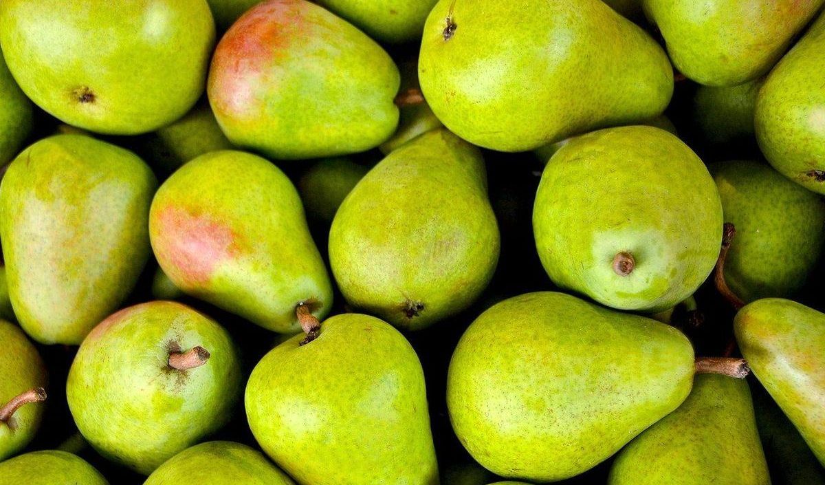 Buah Pir