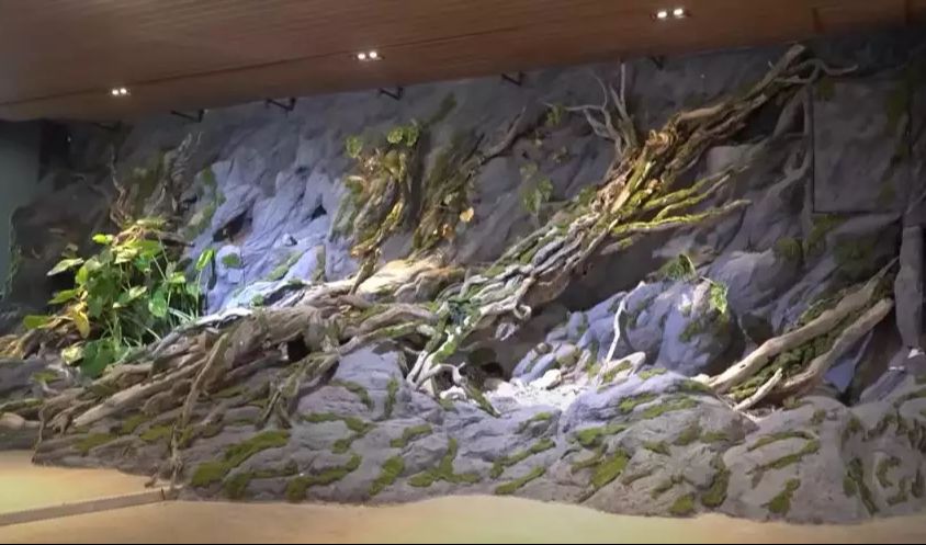 paludarium