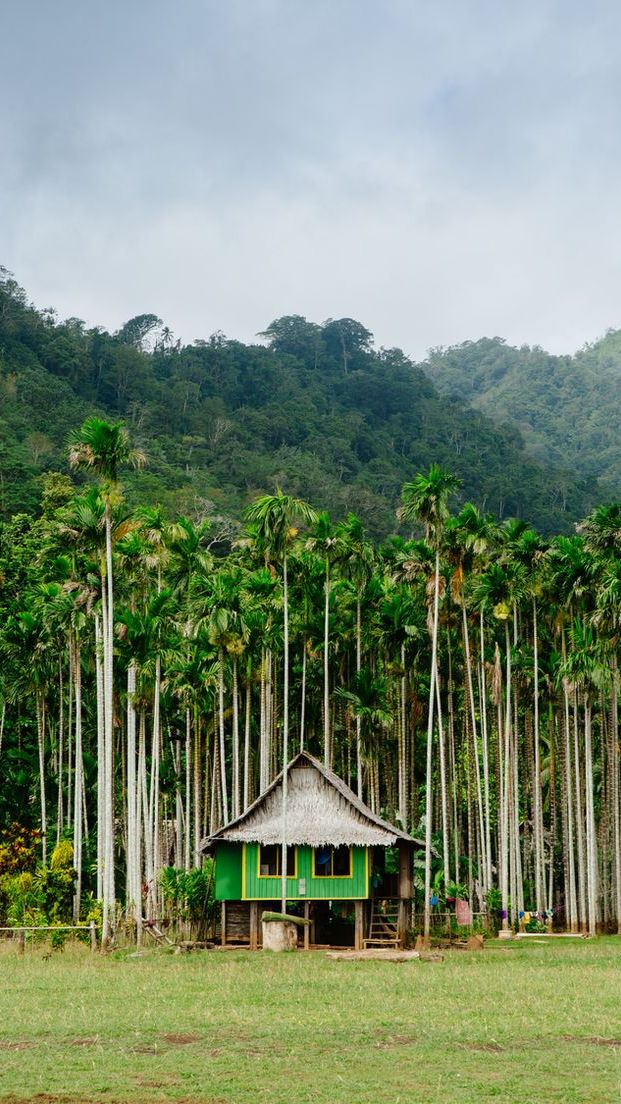 Papua Nugini