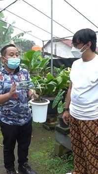 Saking luasnya, halaman di rumah Narji bisa digunakan untuk menanam banyak jenis tanaman hias