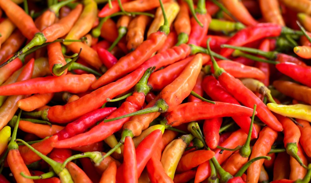 Bahan untuk sambal: