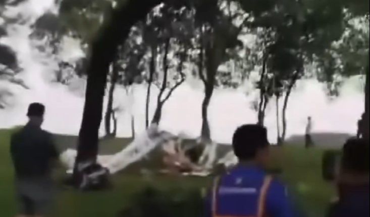 Sayap Pesawat Tersangkut Pohon