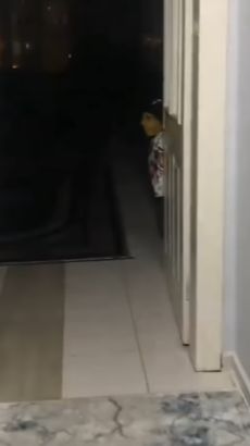 Awalnya Bikin Deg-degan, Langsung Lega Ketika Melihat Penampakan Horor di Balik Pintu Ini dari Dekat