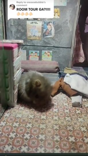 Namun yang paling mengejutkan adalah ternyata penghuni rumah dua lantai tersebut adalah seekor hamster