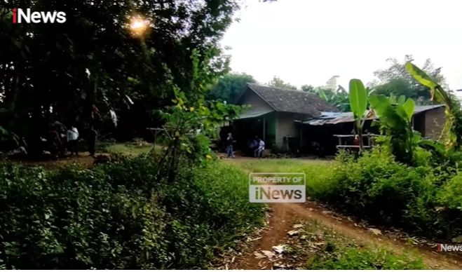 Di tengah Pepohonan