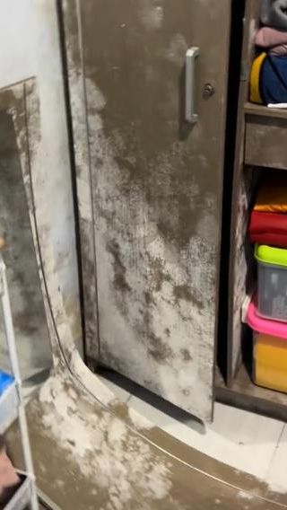 Anak Kos Ini Cuma Bisa Melongo, Baru Ditinggal Tiga Minggu Kamarnya Sudah Penuh dengan Jamur Sampai Geli Melihatnya