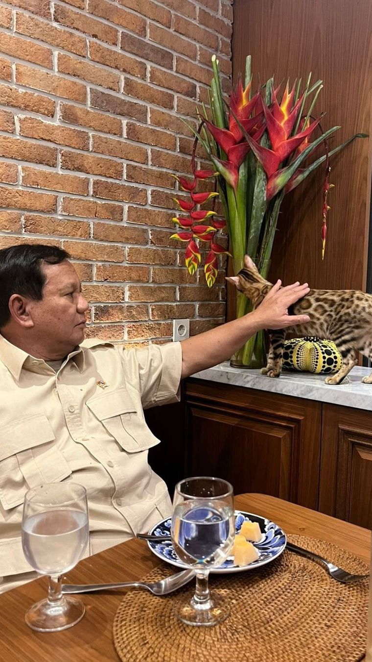 Momen Prabowo Santai Bareng Kucing Corak Leopard, Netizen: Bobby Nangis di Pojokan