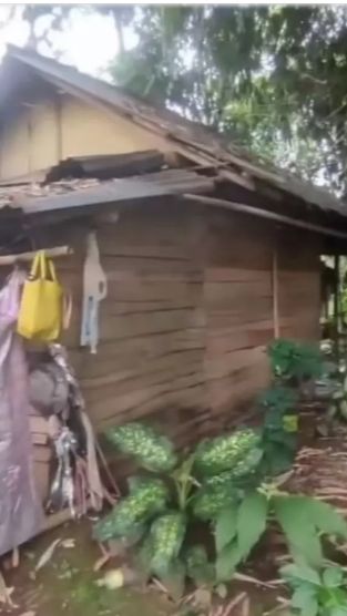 Ia menempati sebuah rumah sederhana berdinding kayu.
