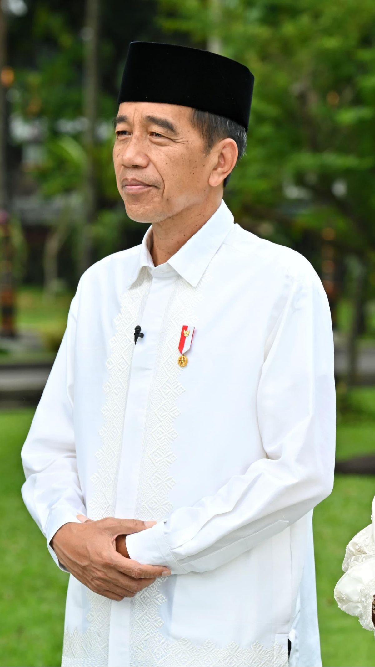 Jokowi Salurkan 68 Ekor Sapi Kurban Idul Adha, Berat 800 Kg Hingga 1 Ton