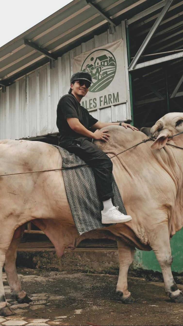 7 Selebritis Siap Berkurban Sapi Jumbo, dari Atta Halilintar sampai Irfan Hakim