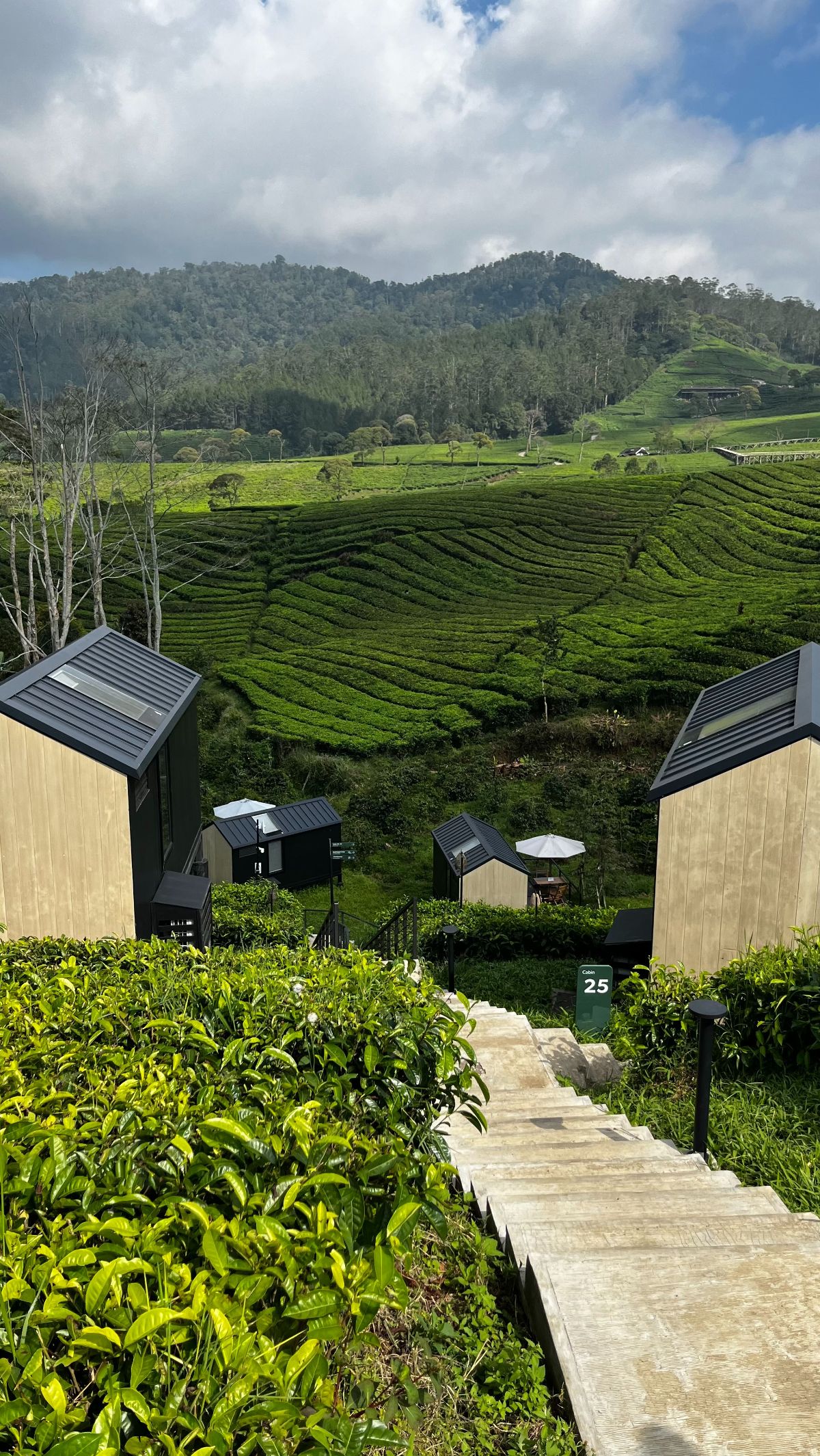 Rekomendasi Tempat Menginap untuk Healing di Daerah Pangalengan Bandung