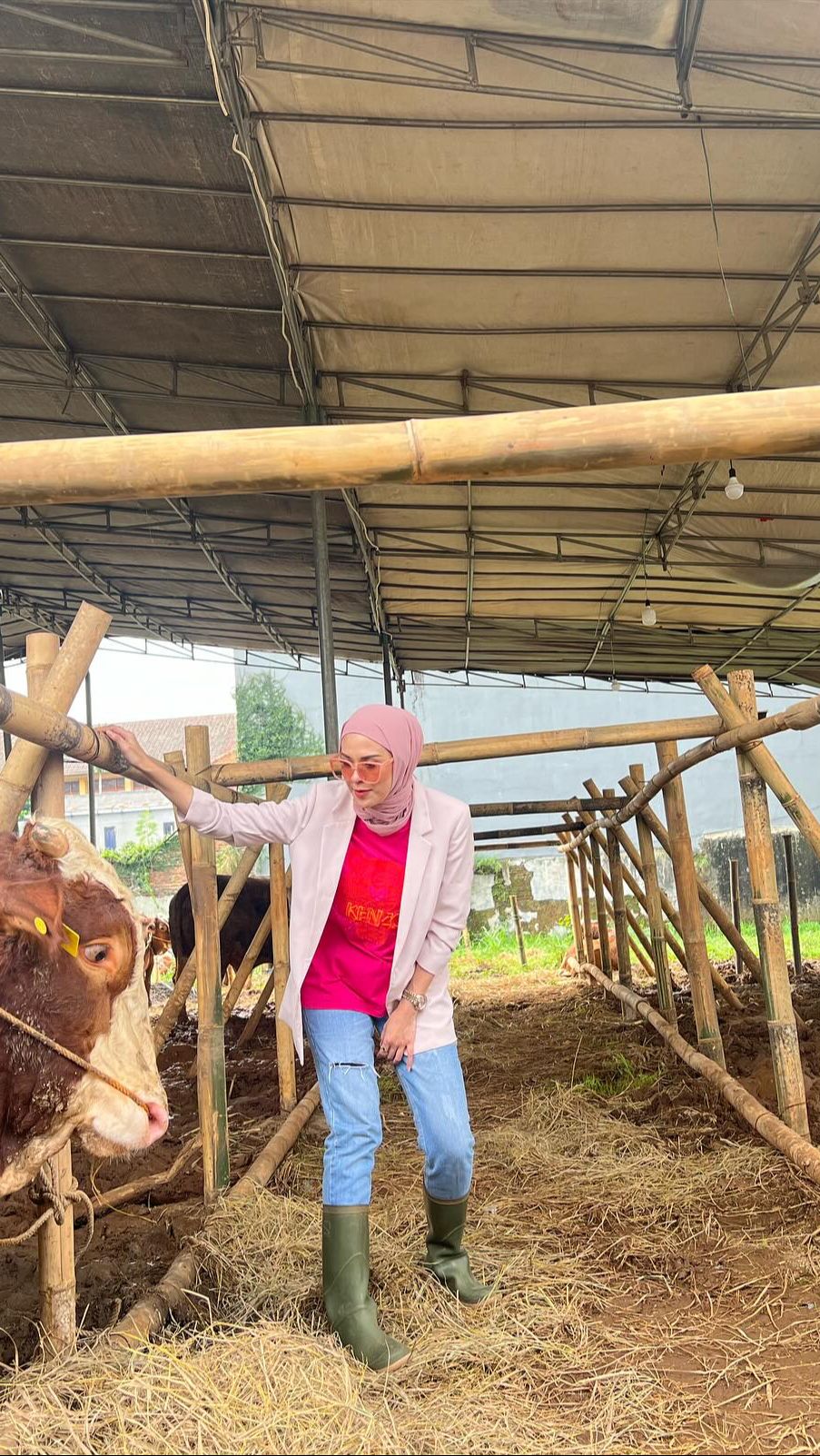 Kini Delia juga memiliki bisnis yang tengah berkembang yakni berjualan hewan kurban.