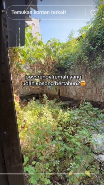Rumah itu juga sudah ditumbuhi banyak rumput yang menutupi halaman.