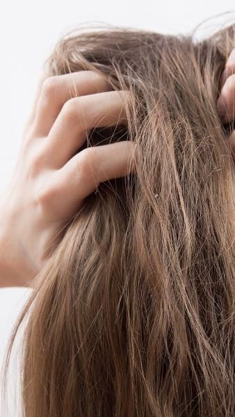 Heboh! Istri Sah Pergoki Suami Selingkuh, Sampai Labrak Pelakor: Maki-maki dan Botaki Rambut
