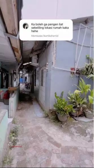 Viral Rumah Cantik di Dalam Gang Sempit, Serasa Tinggal Toko IKEA, Ini 10 Potretnya