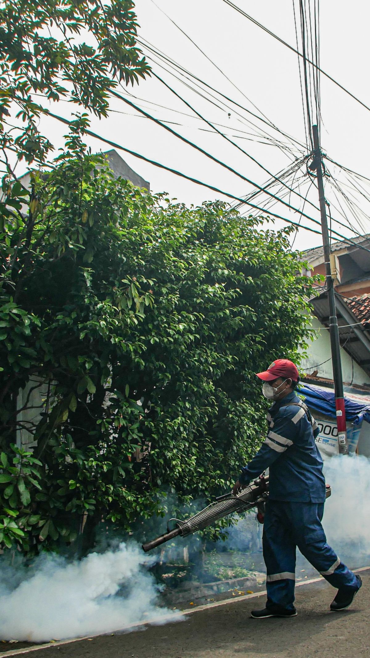 Warga Jaktim Bisa Kena Denda Rp50 Juta Jika Ditemukan Jentik Nyamuk DBD di Rumahnya
