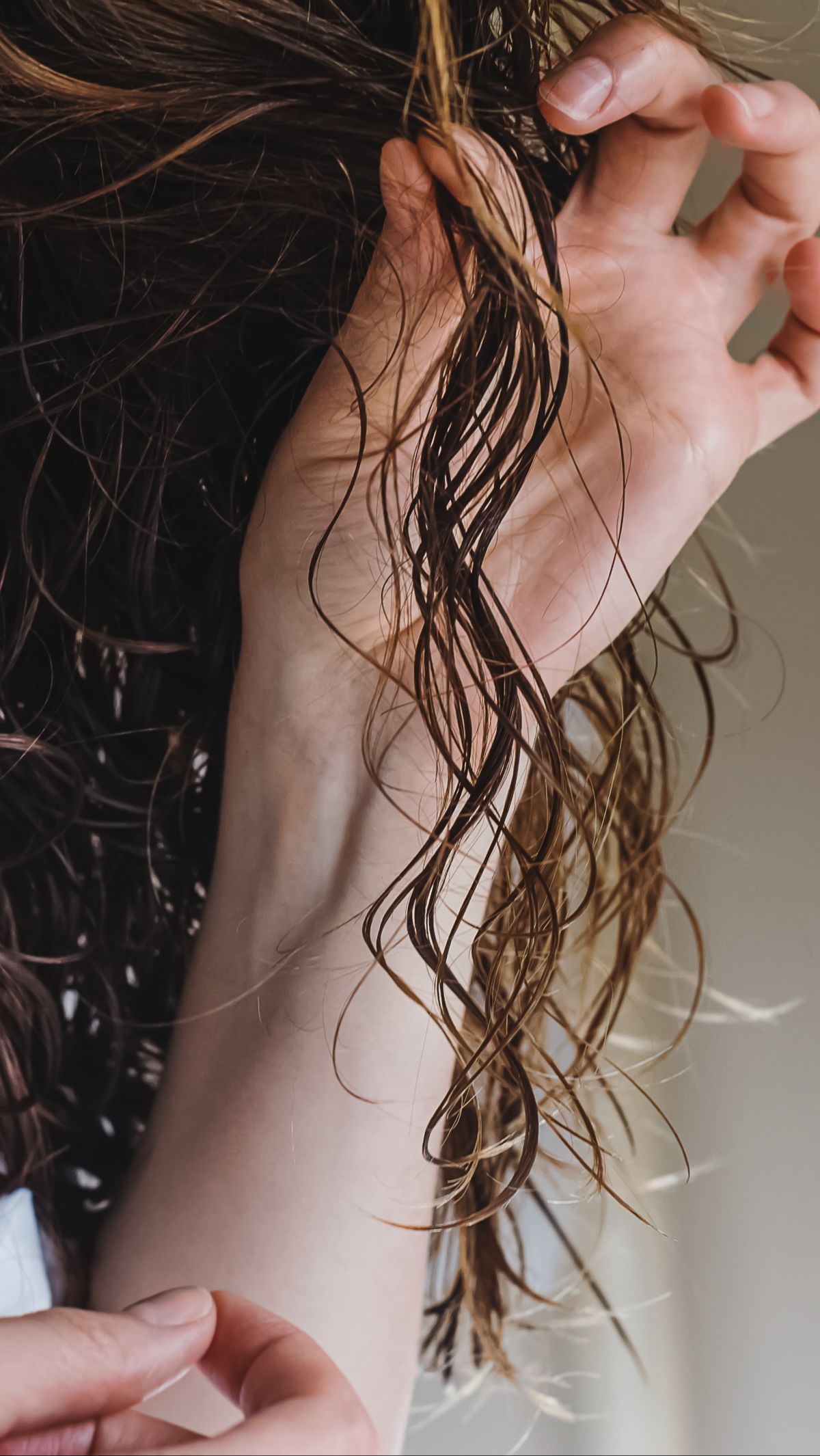 Pemilik Rambut Kering, Coba deh Perawatan Minyak Jojoba yang Bikin 'Mahkota' Mudah Diatur