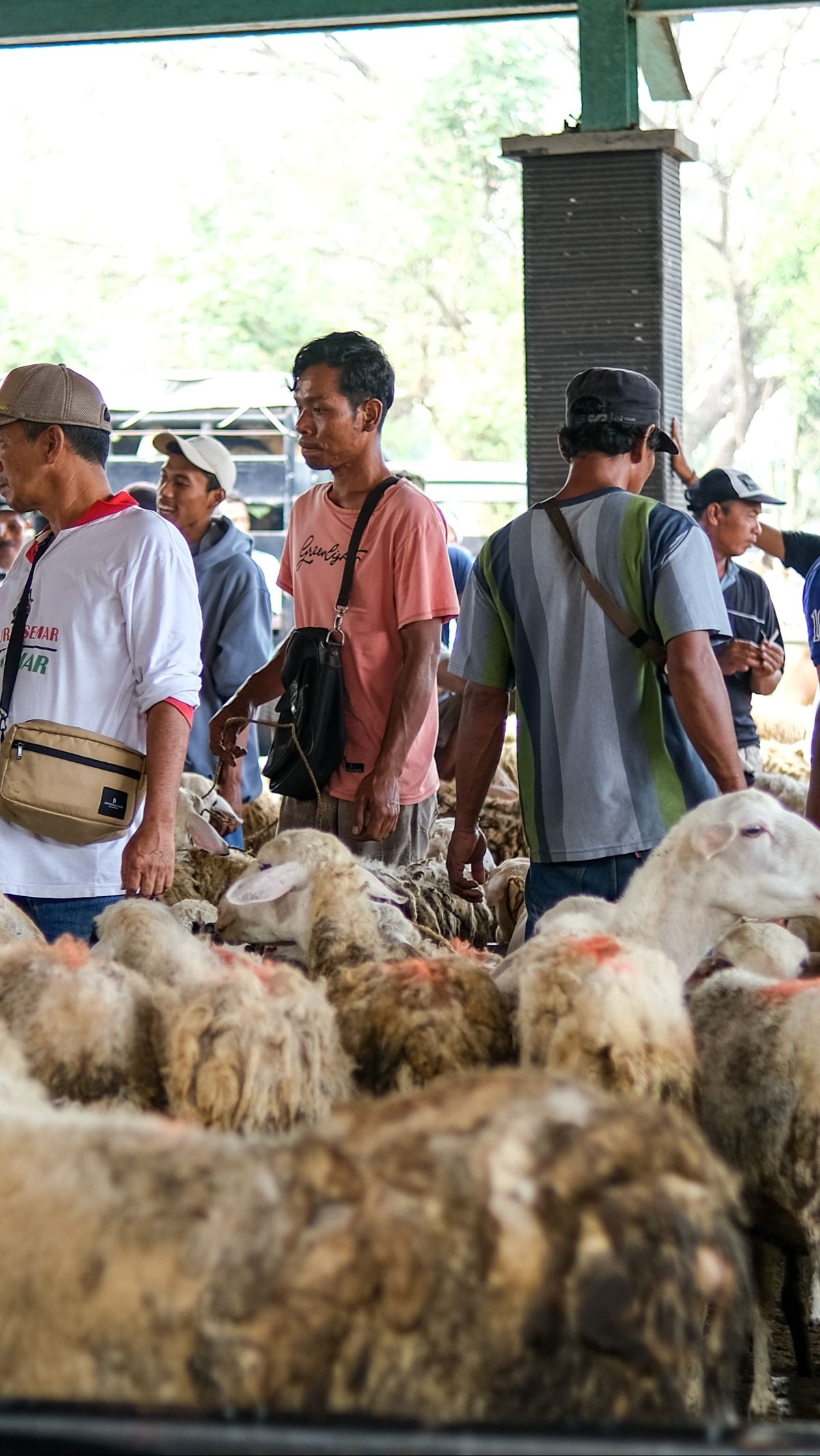 Riset: Banyak PHK, Jumlah Pekurban Kelas Menengah Diprediksi Turun