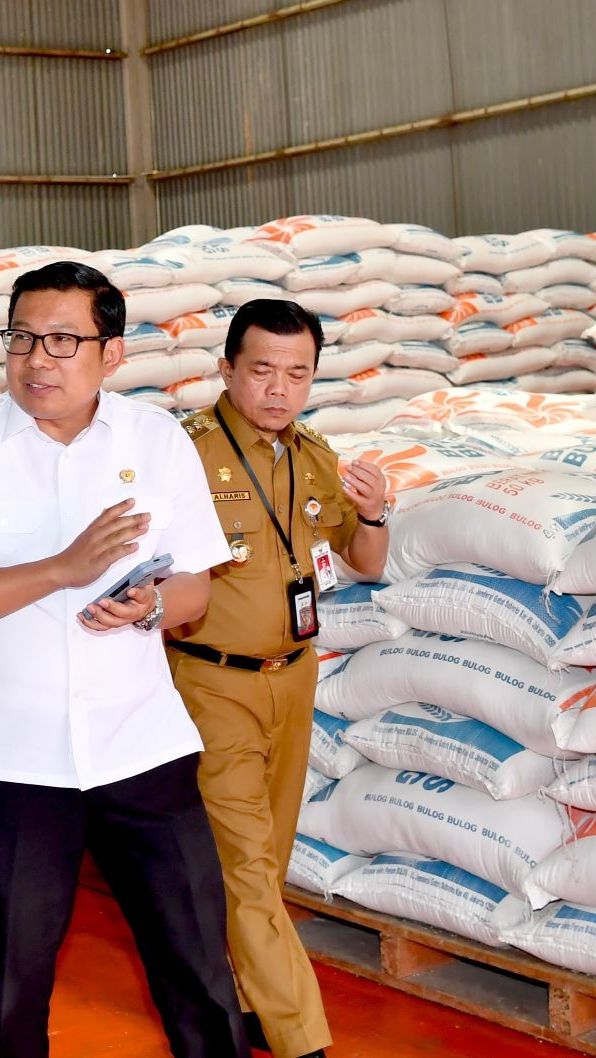 Daftar Harga Beras Terbaru di Berbagai Wilayah Setelah Resmi Naik