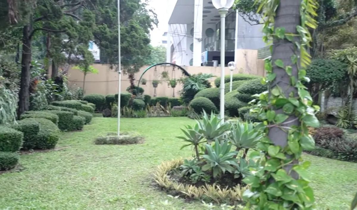 Taman