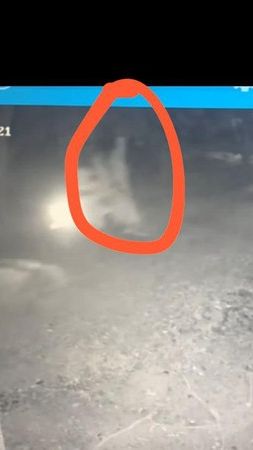 Heboh Sosok Pocong Ikut Boncengan Motor Terekam CCTV Polsek Lendah Kulon Progo