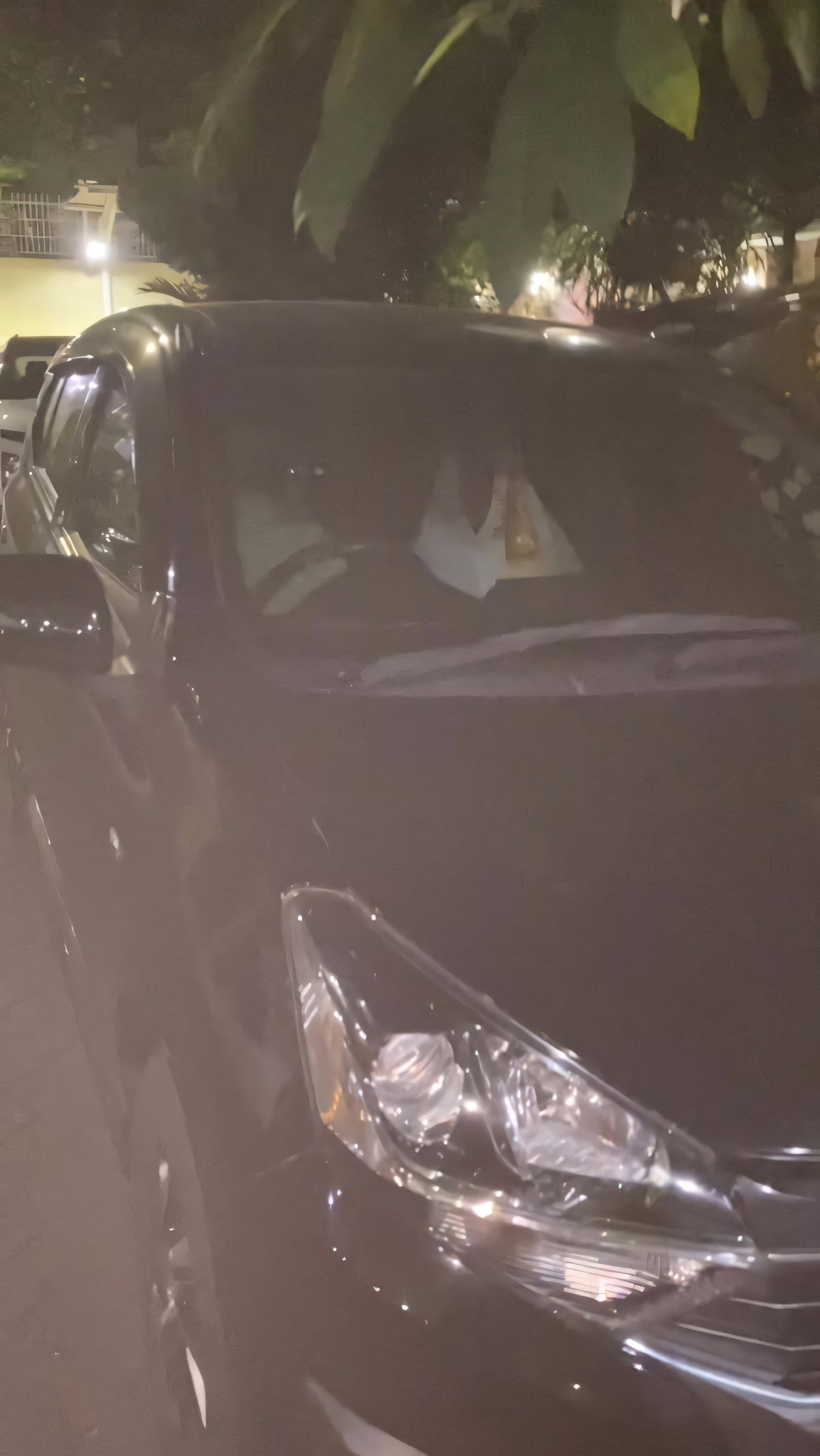 Ide Nyeleneh Nenek Agar Mobil Aman dari Pencurian, Maling Dijamin Auto Kabur