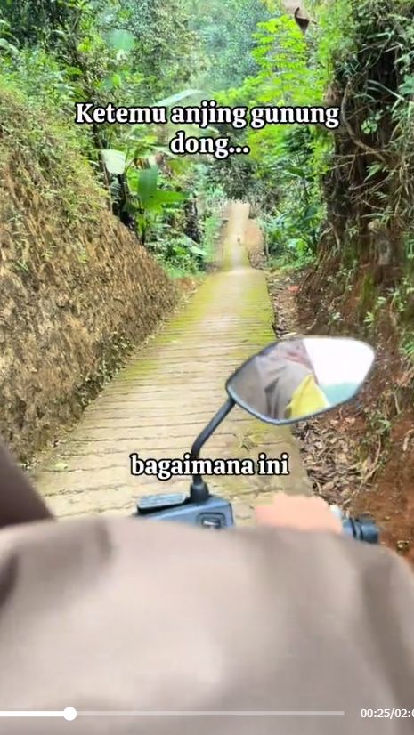Bidan Kunjungi Pasien Lewat Jalan Desa Kecil dan Berliku, Berasa Naik Roller Coaster!